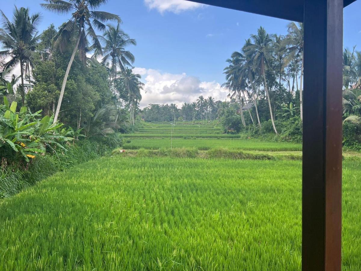 Ubud Sawah Scenery Villa And Homestay Tegallalang  Exterior foto