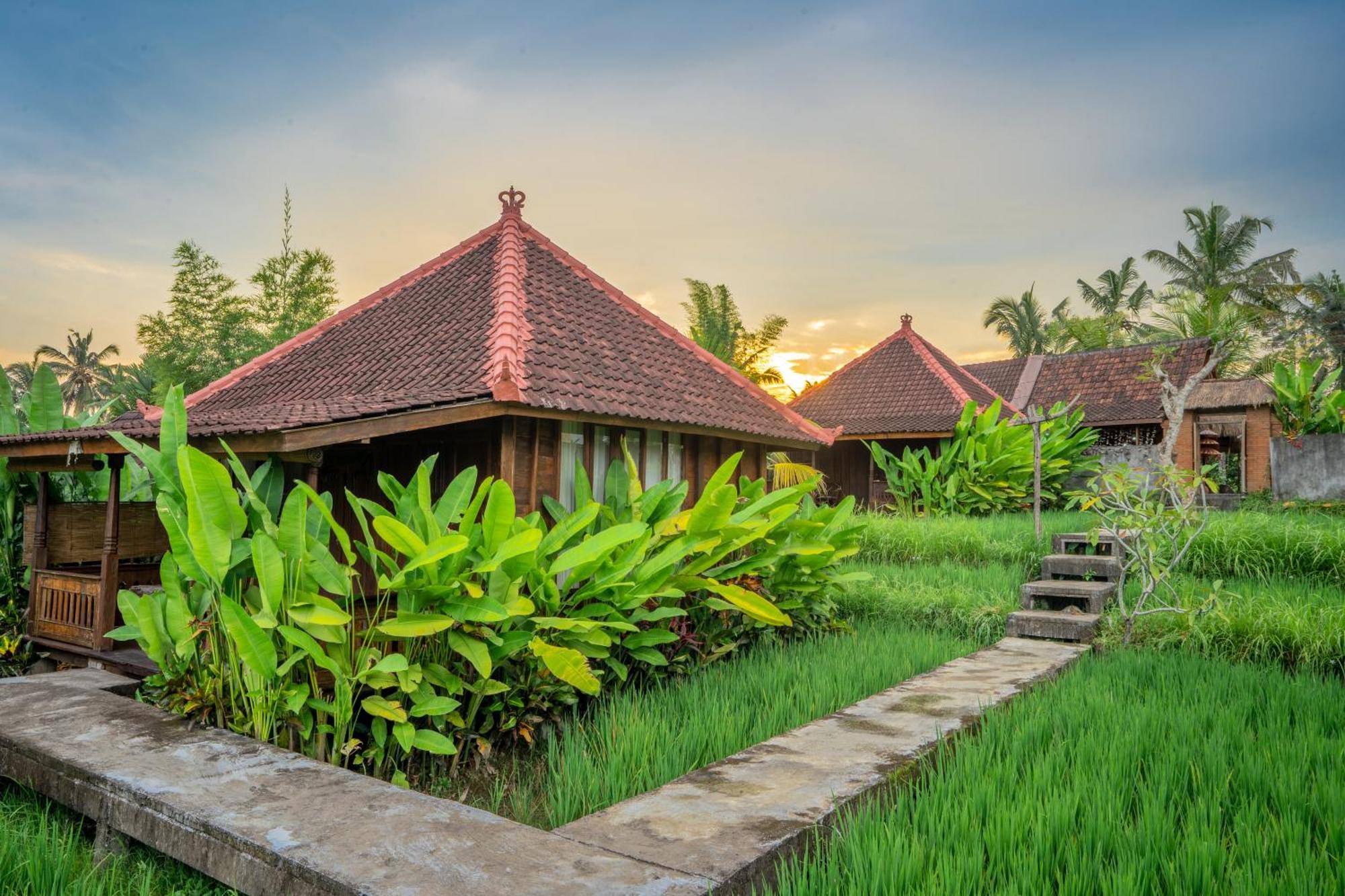 Ubud Sawah Scenery Villa And Homestay Tegallalang  Exterior foto