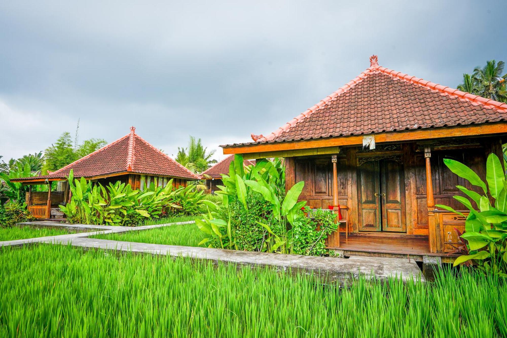 Ubud Sawah Scenery Villa And Homestay Tegallalang  Exterior foto