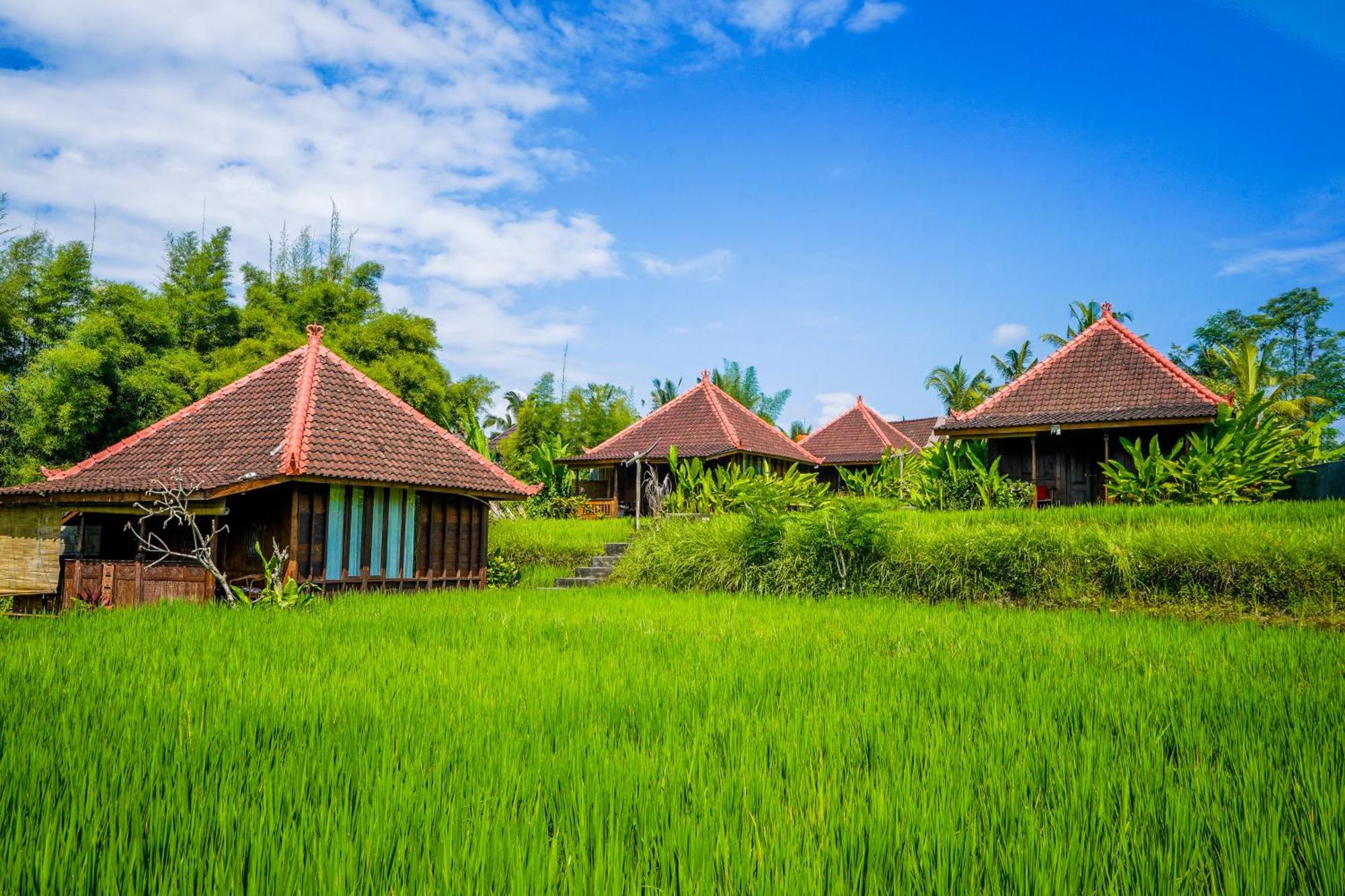 Ubud Sawah Scenery Villa And Homestay Tegallalang  Exterior foto