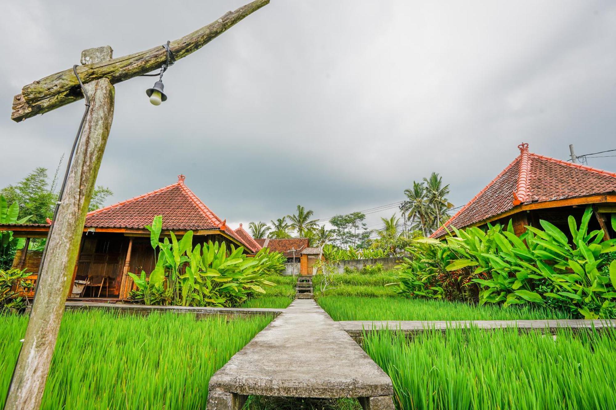 Ubud Sawah Scenery Villa And Homestay Tegallalang  Exterior foto