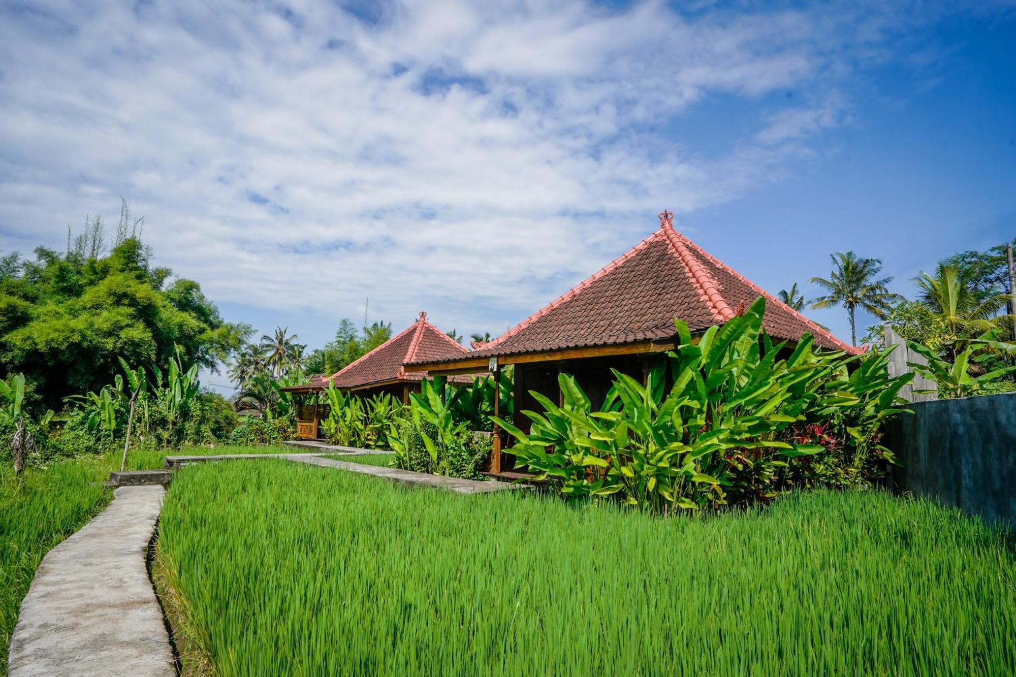 Ubud Sawah Scenery Villa And Homestay Tegallalang  Exterior foto