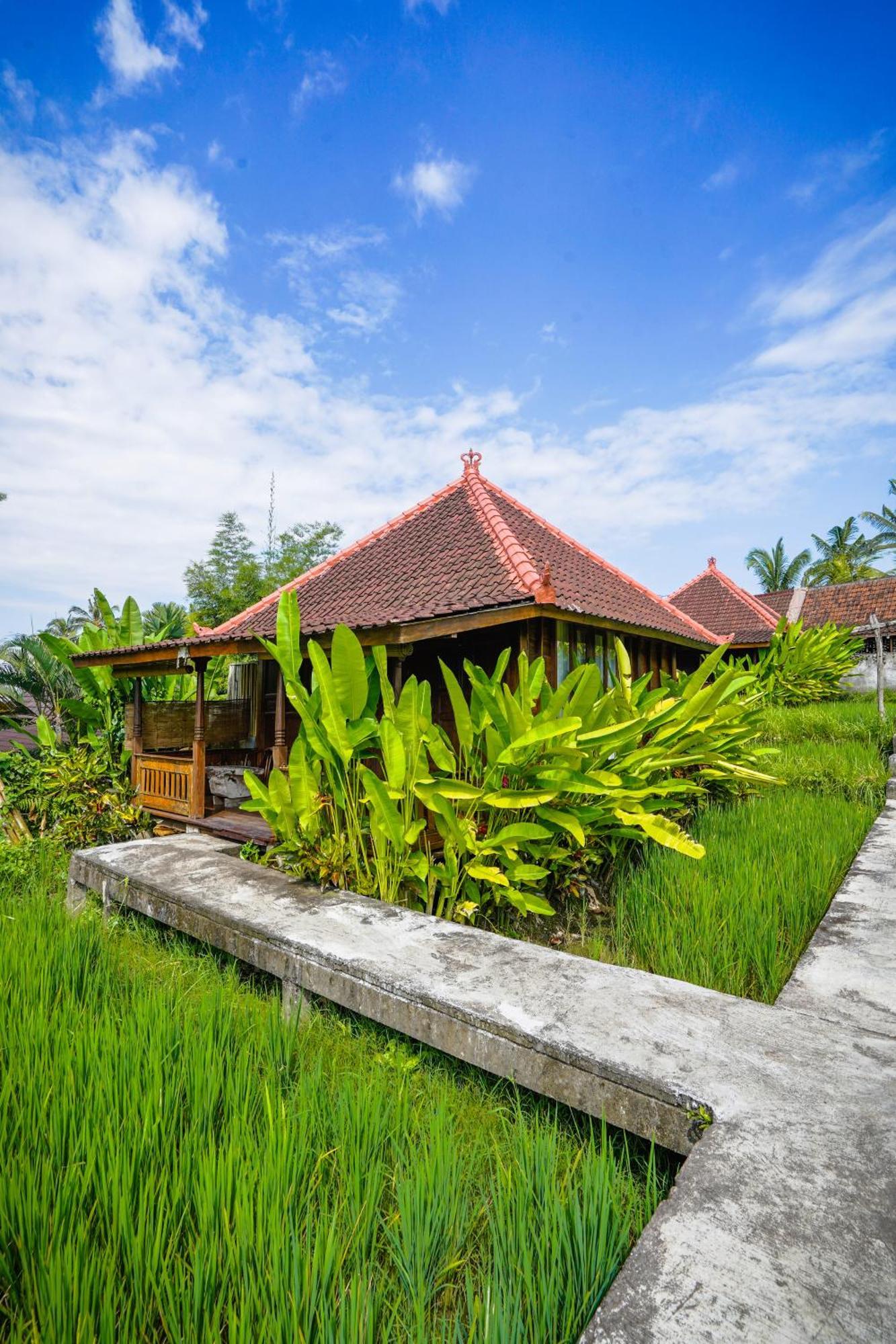 Ubud Sawah Scenery Villa And Homestay Tegallalang  Exterior foto