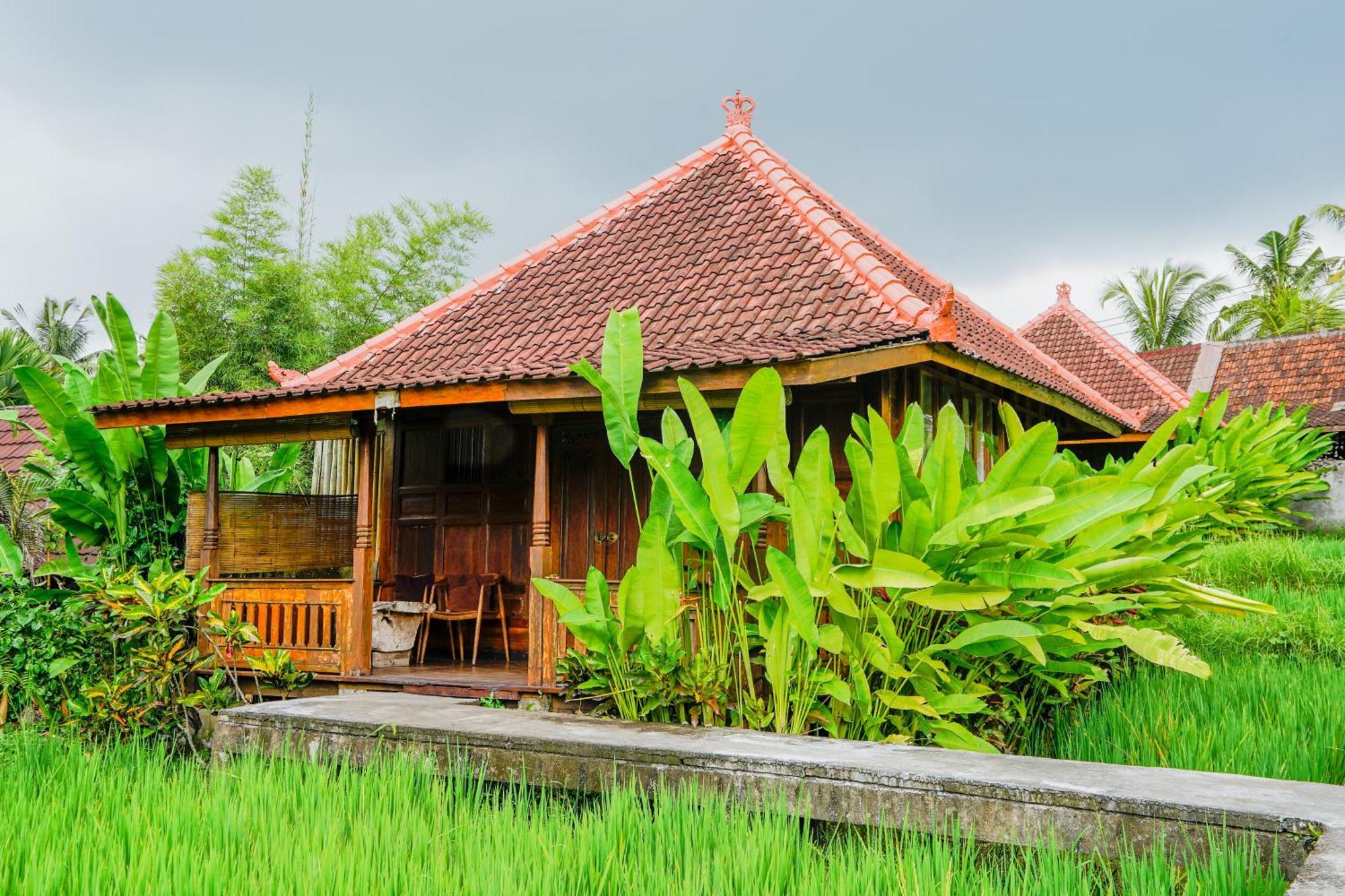 Ubud Sawah Scenery Villa And Homestay Tegallalang  Exterior foto