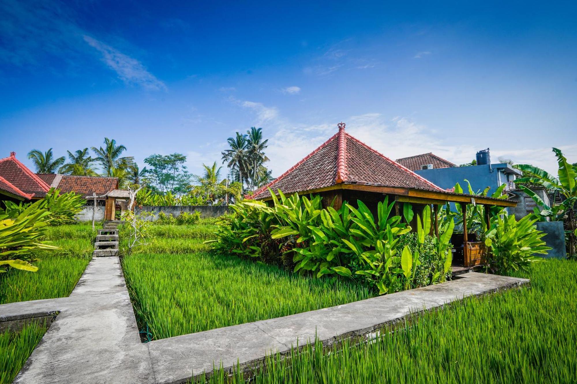 Ubud Sawah Scenery Villa And Homestay Tegallalang  Exterior foto