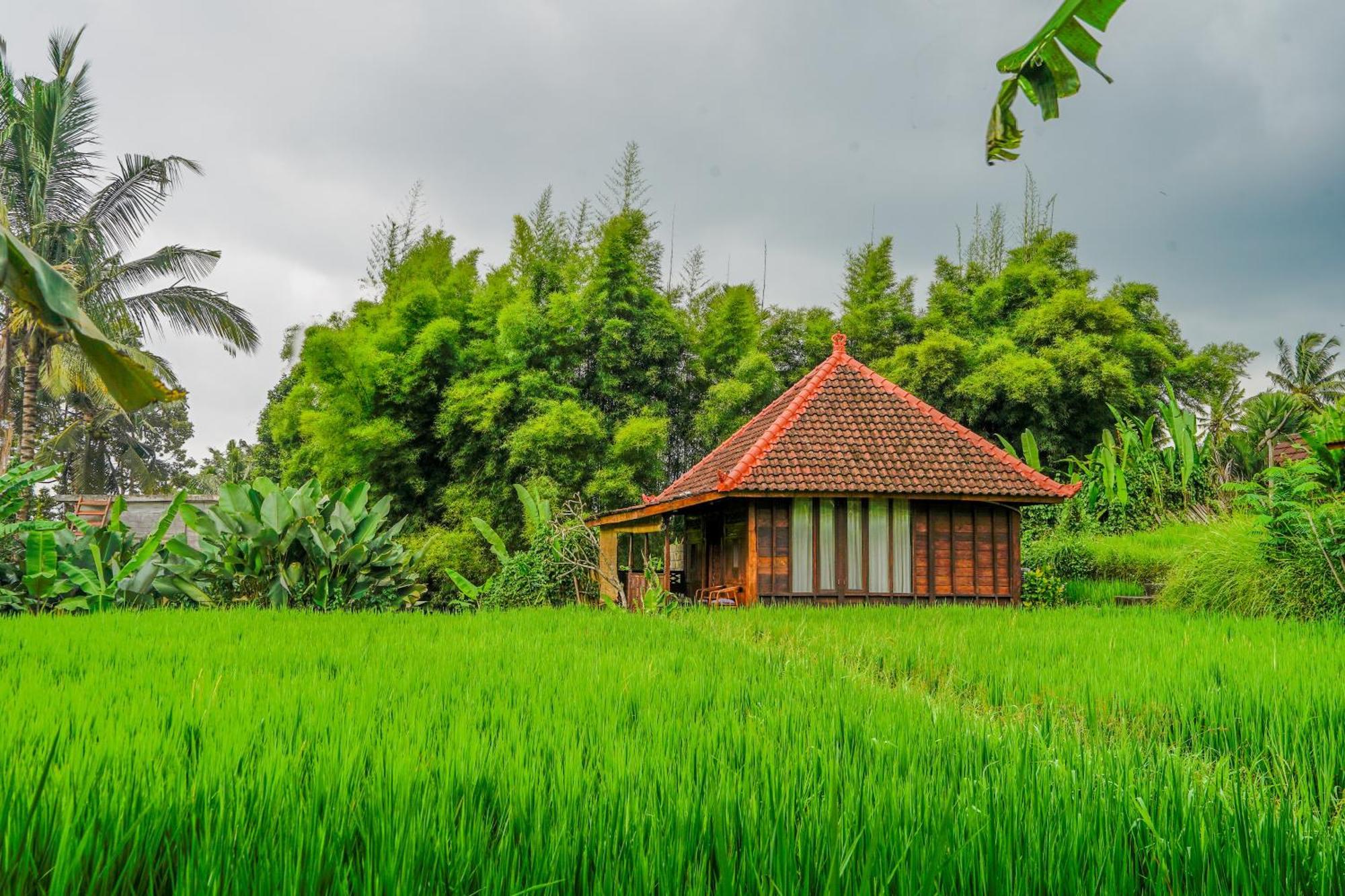 Ubud Sawah Scenery Villa And Homestay Tegallalang  Exterior foto