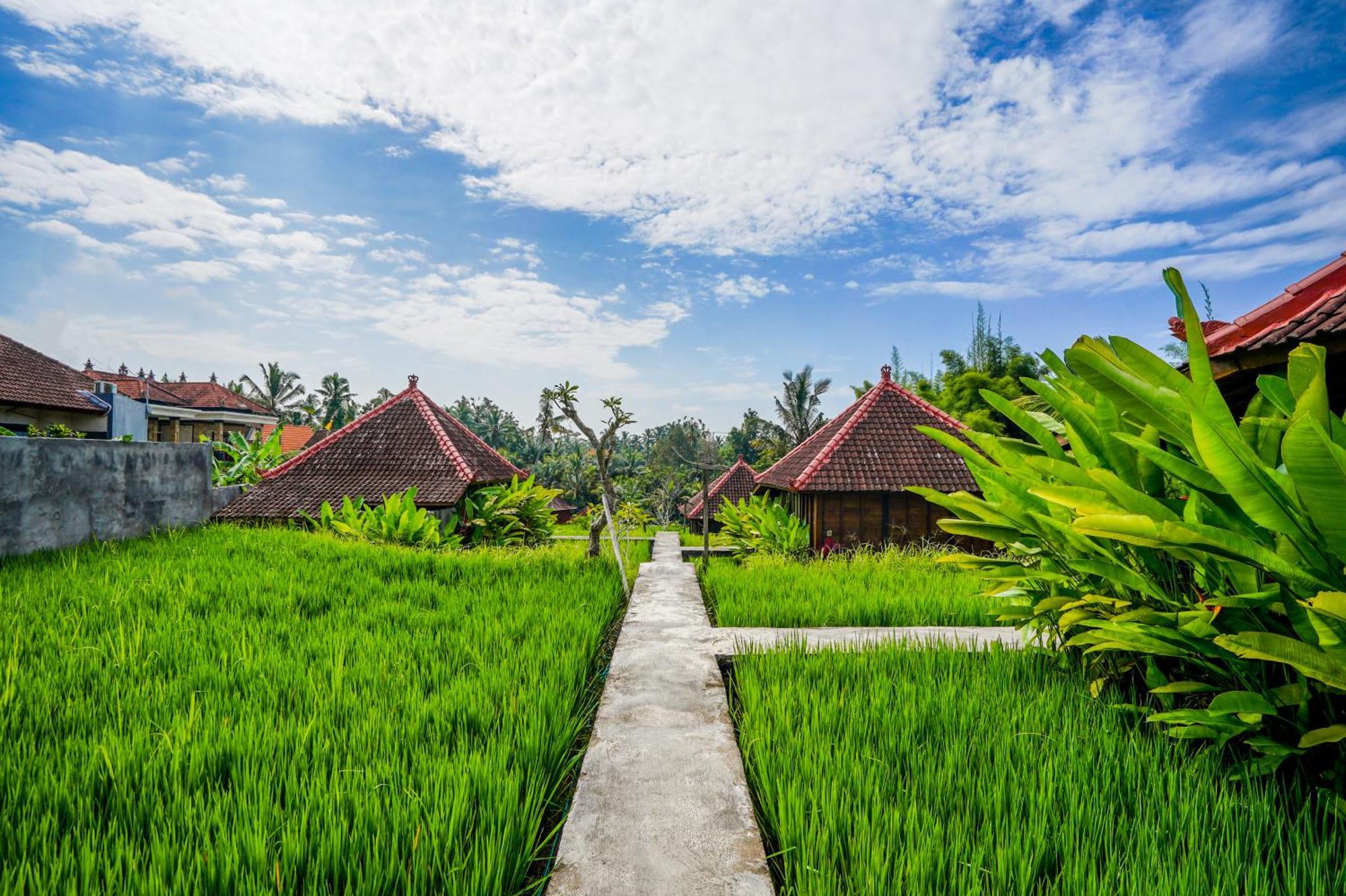 Ubud Sawah Scenery Villa And Homestay Tegallalang  Exterior foto